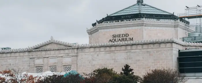Shedd Aquarium — Chicago attraction near the water taxi dock