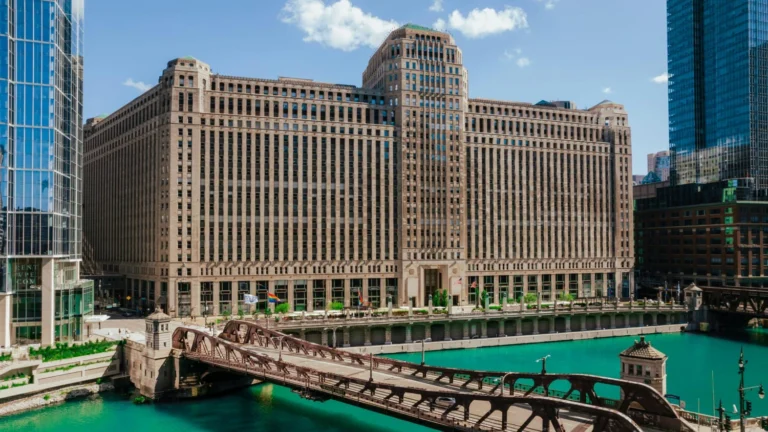 10 Chicago River Views You Can Only See on a Boat Tour in Spring
